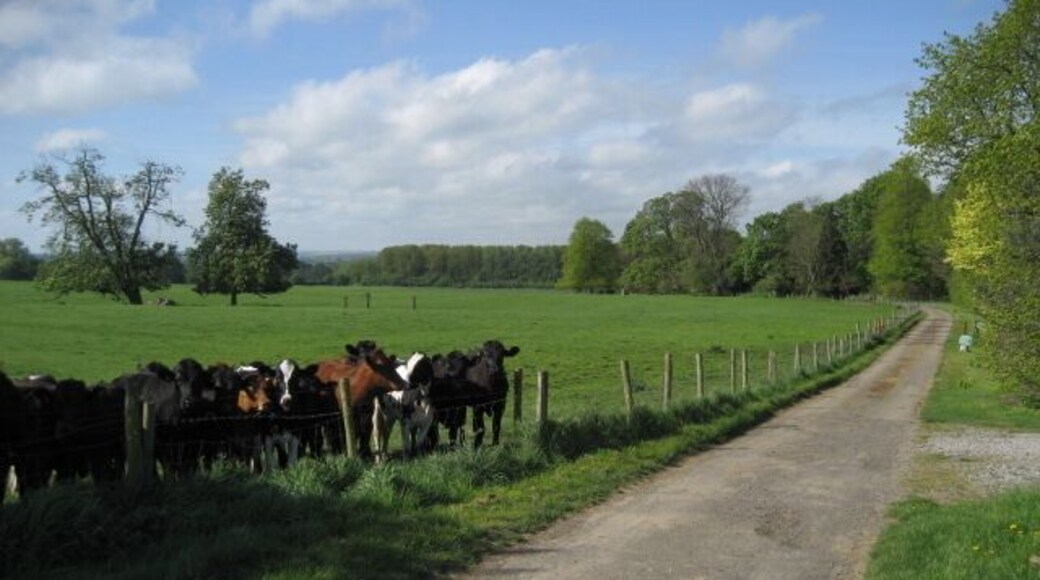 Please get us on your shot!