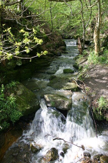 Hunwick Gill. The footpath from Willington to Bishop Auckland crosses the Hunwick Gill at the point where it flows into the River Wear.