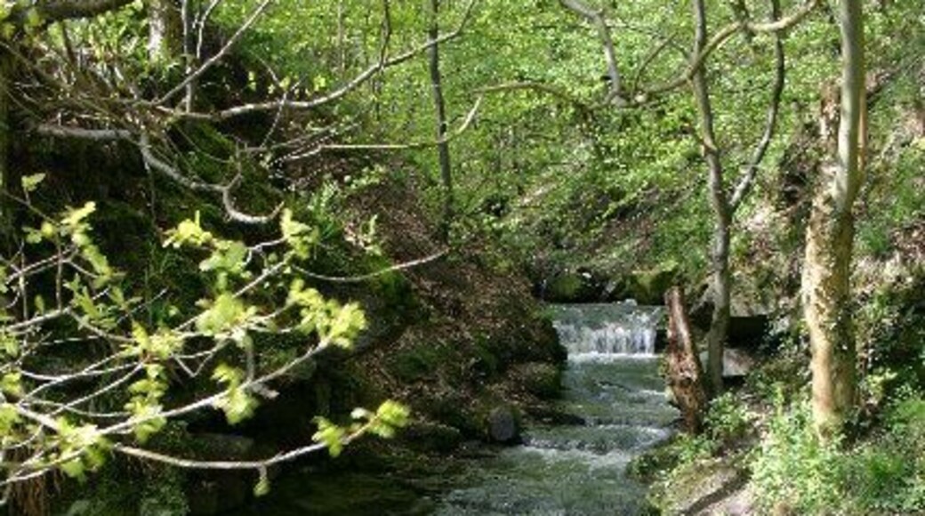 Hunwick Gill. The footpath from Willington to Bishop Auckland crosses the Hunwick Gill at the point where it flows into the River Wear.