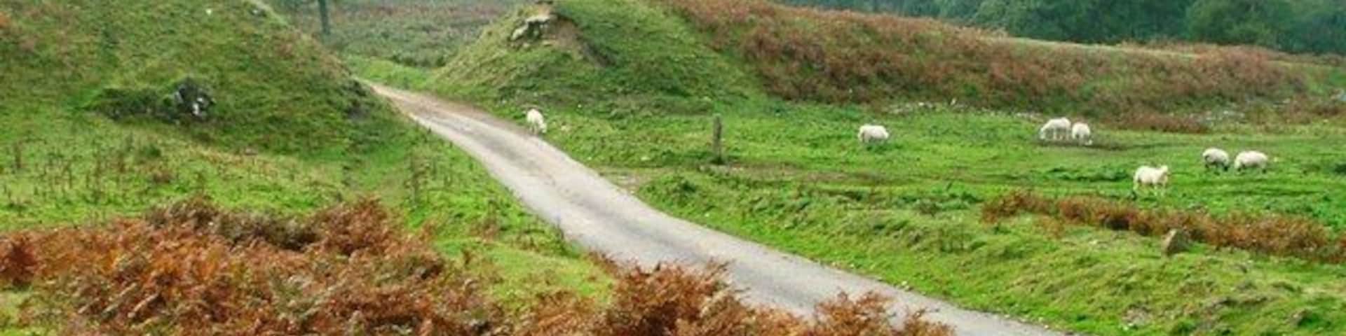 Course of Old Waggonway, Kepwick Quarry Presumably there was a bridge carrying the tramway over the road. The waggonway would have been used to transport limestone from the quarry at a height of 1100' above sea level down to the kilns at 300'. A railway extended to the Thirsk to Yarm road.