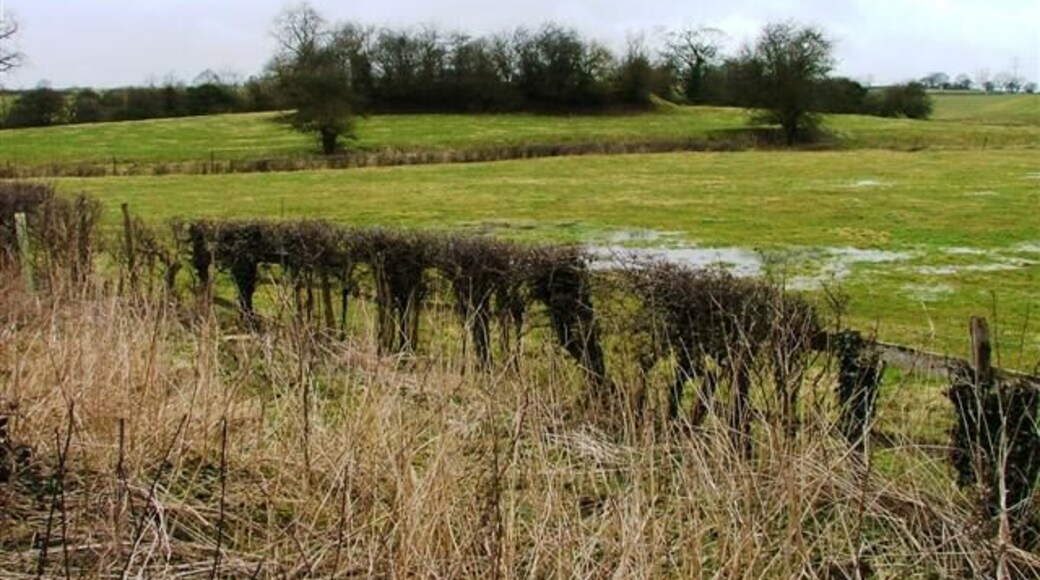 Sigston Castle. The remains of a 14c castle.