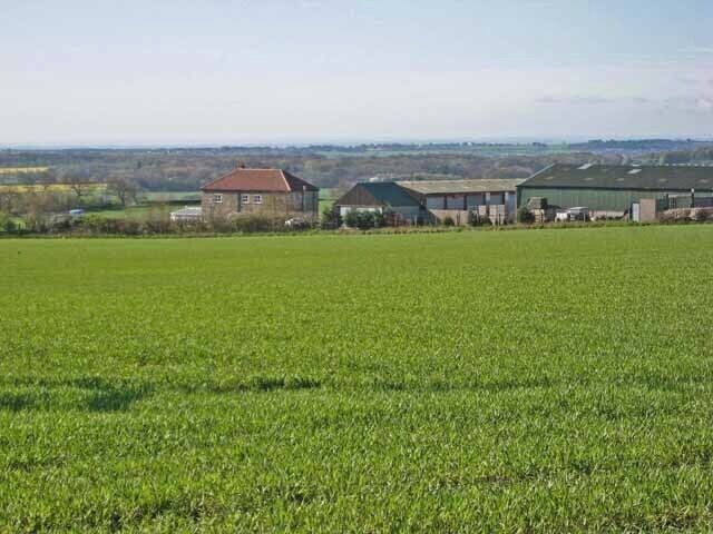 Bow Bank House Farm Seen from Merrington Road (B7287) from Ferryhill. The Pennines can be seen on the horizon on this crystal-clear day.