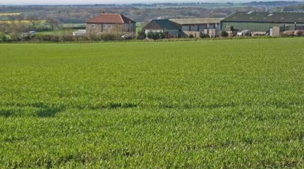 Bow Bank House Farm Seen from Merrington Road (B7287) from Ferryhill. The Pennines can be seen on the horizon on this crystal-clear day.