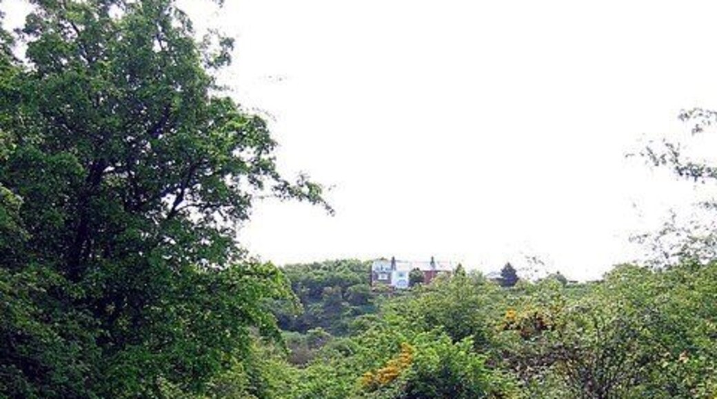 Footpath heading up towards Cassop village