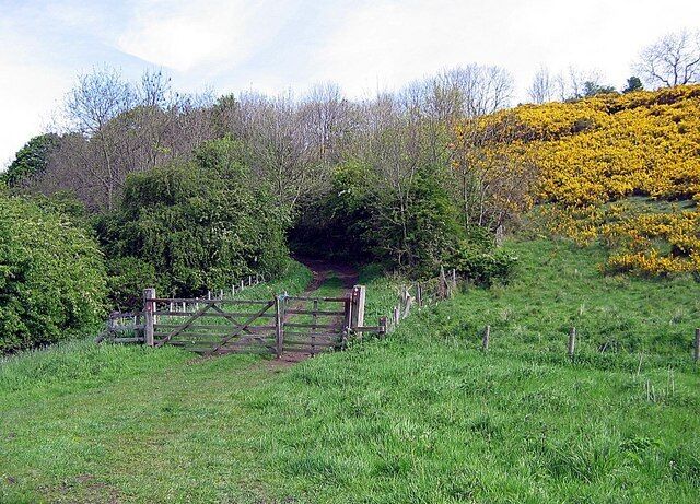 Bridleway from Cassop Vale to Old Cassop