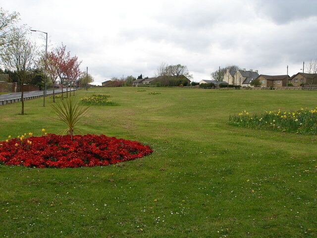 A grassy field with red flowers, yellow flowers, and a small tree.