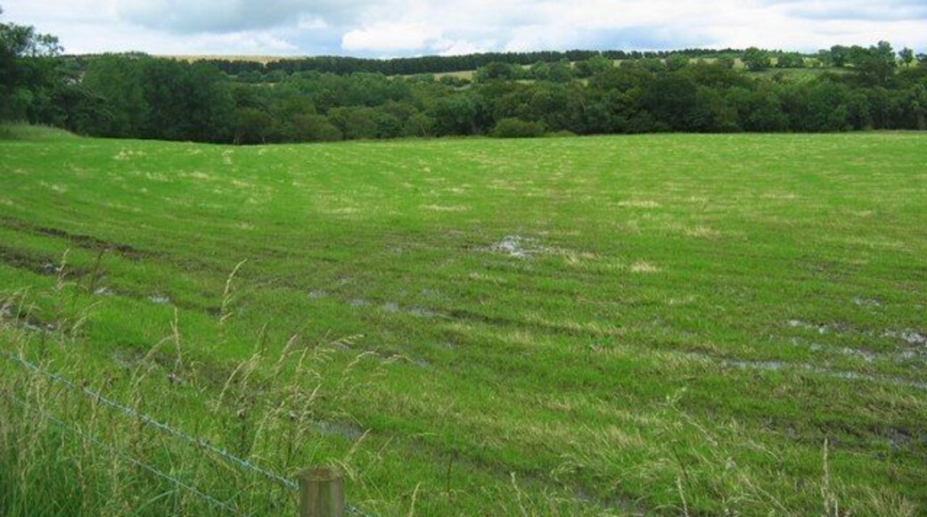 Young Covert Young Covert as seen from the road