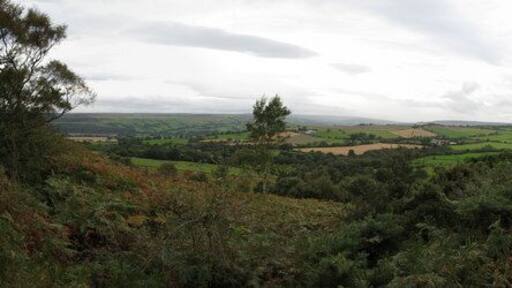 Panorama from Heatherley Clough, Tow Law This panorama is a composite of five photographs. The panorama was taken from a public footpath which passes through the length of Heatherley Clough in Tow Law. The furthest scenery is the easterly part of the North Pennines Area of Outstanding Natural Beauty.
