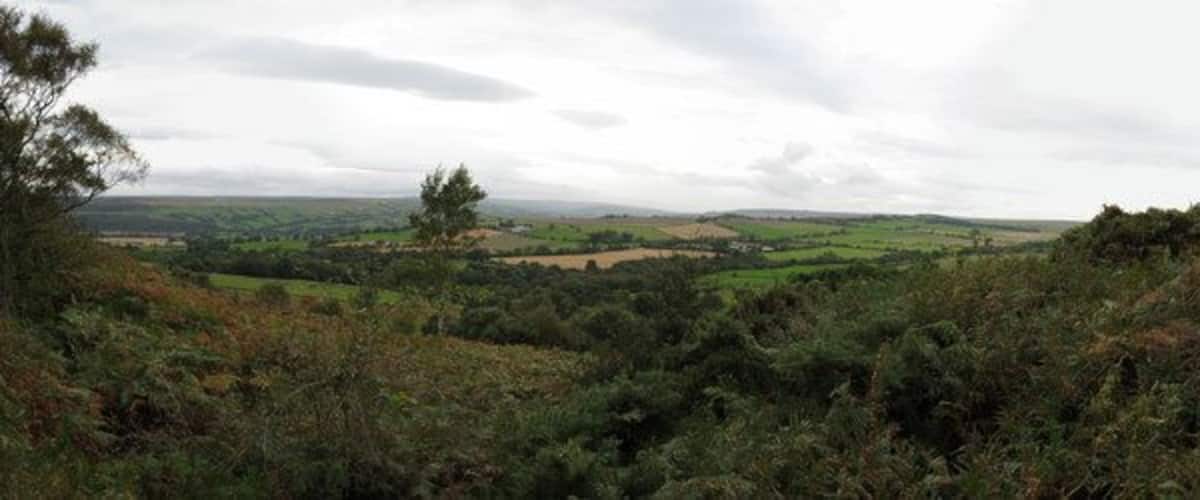 A hilly landscape with dense vegetation and a distant view of rolling hills and fields.