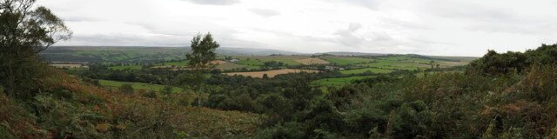 A hilly landscape with dense vegetation and a distant view of rolling hills and fields.