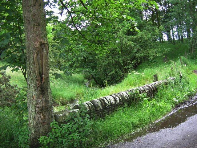 Bridge over Thornley Beck Bridge over Thornley Beck as it runs through Spring Wood