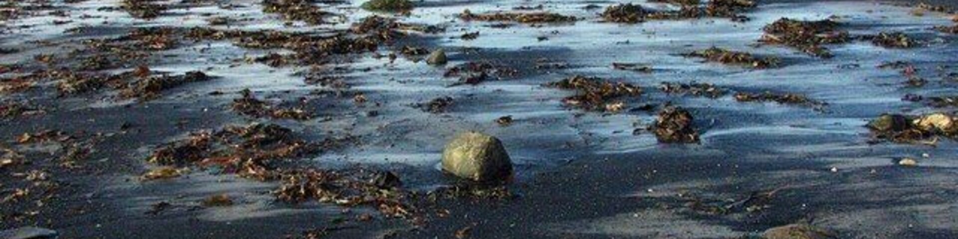 Newbiggin Bay Coal dust still covers the beach at Newbiggin