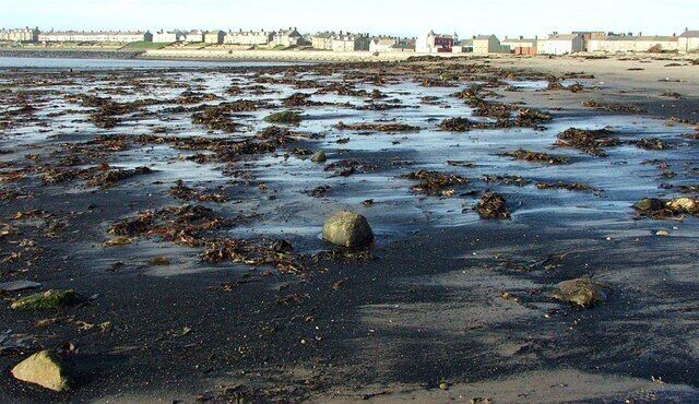 A beach with scattered rocks and seaweed.
