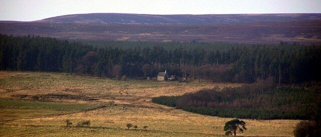 Rowley Lodge : Woodland Fell Rowley Lodge, close to Spurlswood Beck and Rowley Beck. On the south western edge of Hamsterley Forest
