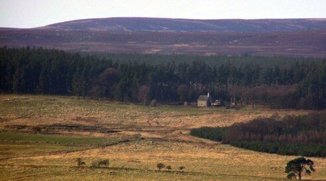 Rowley Lodge : Woodland Fell Rowley Lodge, close to Spurlswood Beck and Rowley Beck. On the south western edge of Hamsterley Forest