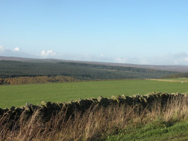 Hamsterley forest View to Hamsterley from the road