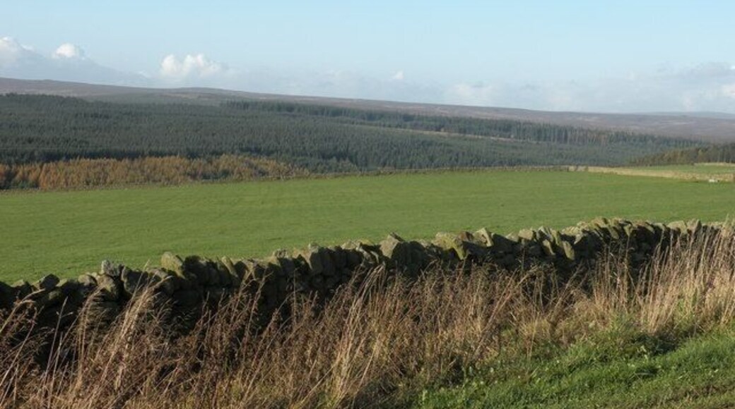 Hamsterley forest View to Hamsterley from the road