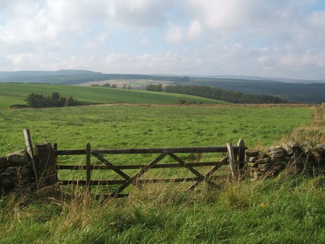 A View to Hamsterley forest.