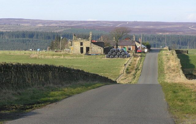 Whinfield Cottage (ruin) Looking north to Hamsterley Forest. Robin's Castle at road junction (centre)