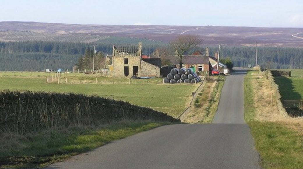 Whinfield Cottage (ruin) Looking north to Hamsterley Forest. Robin's Castle at road junction (centre)