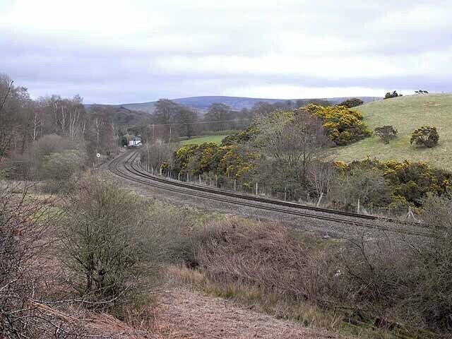 Railway tracks curving through a hilly landscape with sparse vegetation and a few yellow flowering bushes.