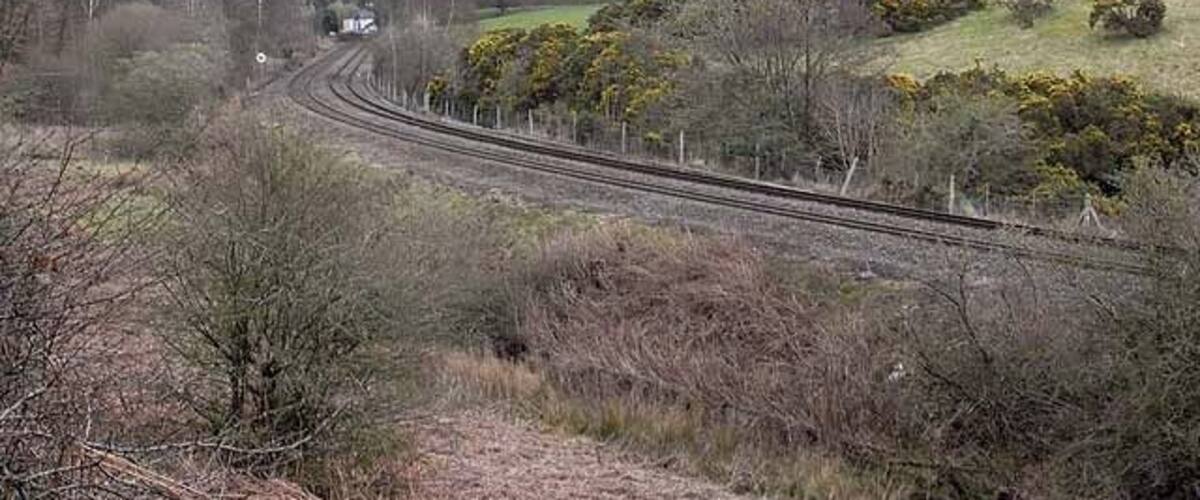 Railway tracks curving through a hilly landscape with sparse vegetation and a few yellow flowering bushes.