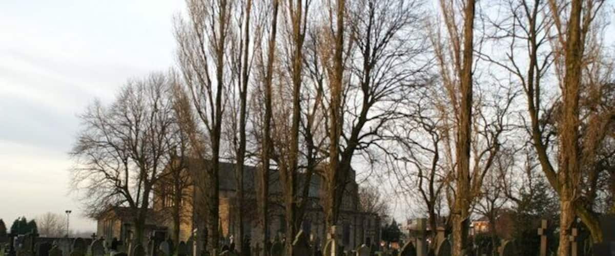 A cemetery with numerous tombstones and bare trees.