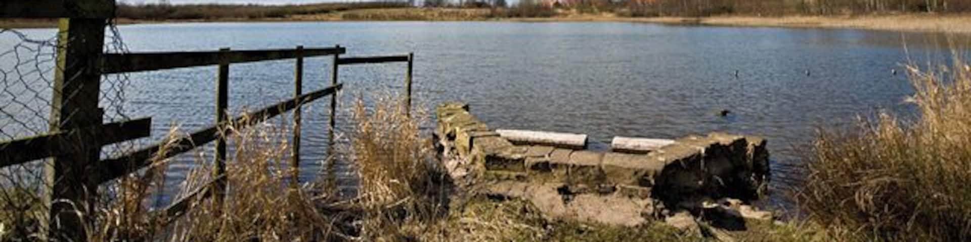 Bickershaw Ponds