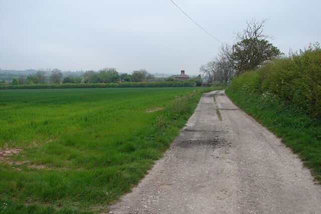 A rural dirt road flanked by green fields and a hedge.