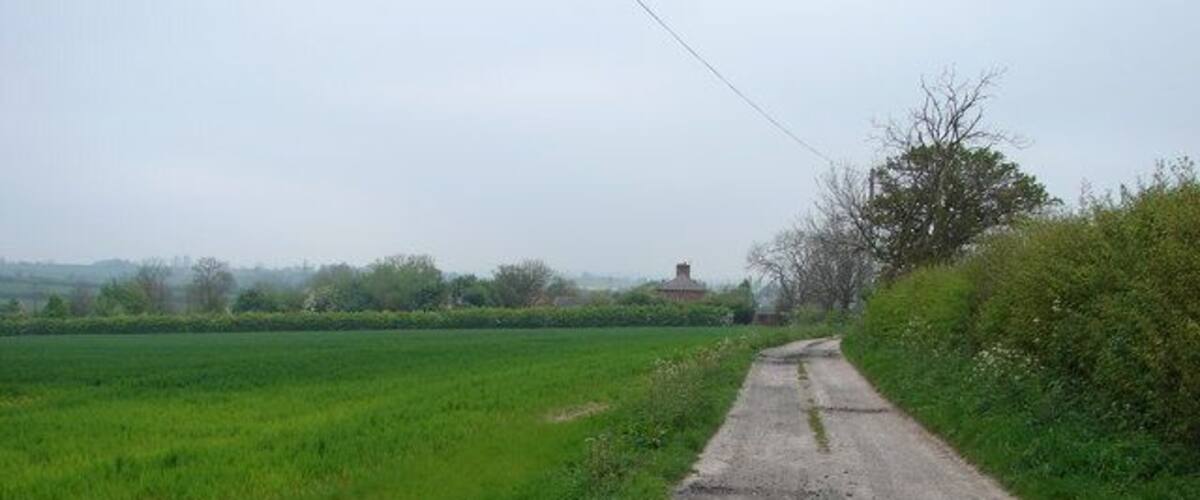 A rural dirt road flanked by green fields and a hedge.