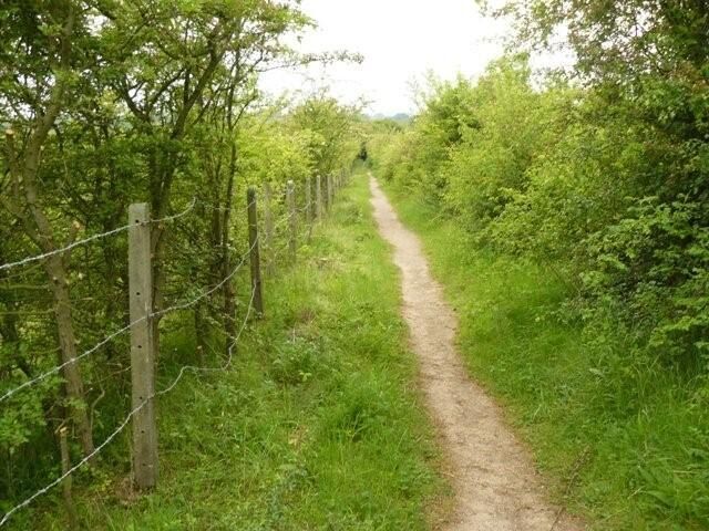 Path to Bunny from the Old Wood