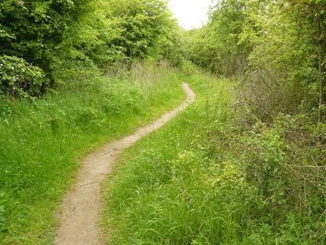 Path to Bunny from the Old Wood