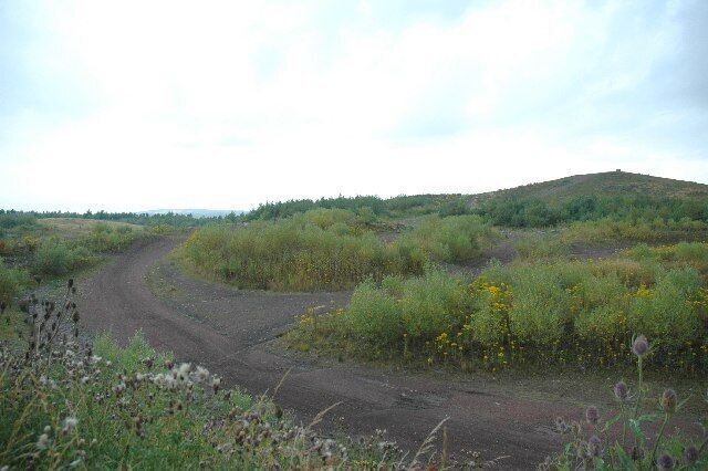 Colliers Moss Common Nature Reserve. This is a view of part of Colliers Moss Common Nature Reserve. It used to be the site of the slag heaps made by the dumping of waste by Bold Colliery and Bold Power Station, both now long gone.