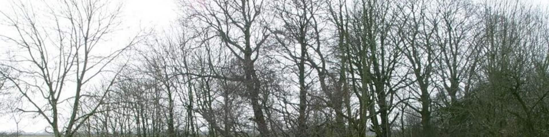 Roe Bridge A footbridge which crosses the River Brock