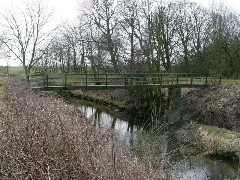 A narrow waterway with a green bridge, surrounded by leafless trees and overgrown vegetation.