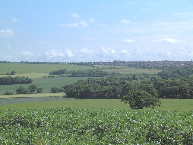 Crank. taken from 511995 on the edge of Crank Cavern woods looking north east towards Billinge