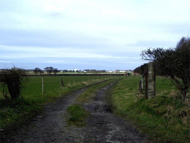 Track off Crank Road, Crank