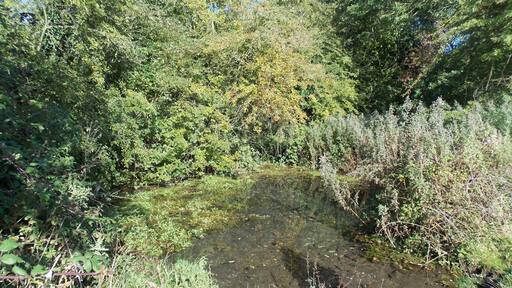 Spring at Swinekeld, East Yorkshire