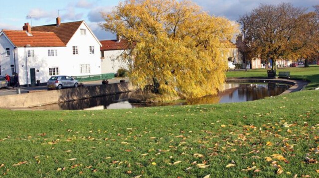 The village pond, Cranswick, Hutton Cranswick, East Riding of Yorkshire, England. The willow is in autumn colours, yellow being dominant in 2008.