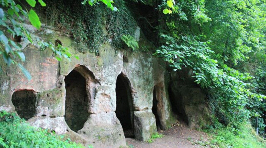 The Hermitage In Hermit's Wood near Dale Abbey. Cut into the Sandstone of a North facing escarpment. For a fuller description see the nearby information board: SK4338 : The Hermitage, Information Board