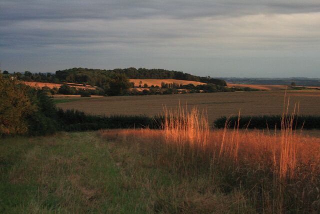 Constitution Hill From near Hermit Wood. Looking almost like Tuscany in the reddening sun.