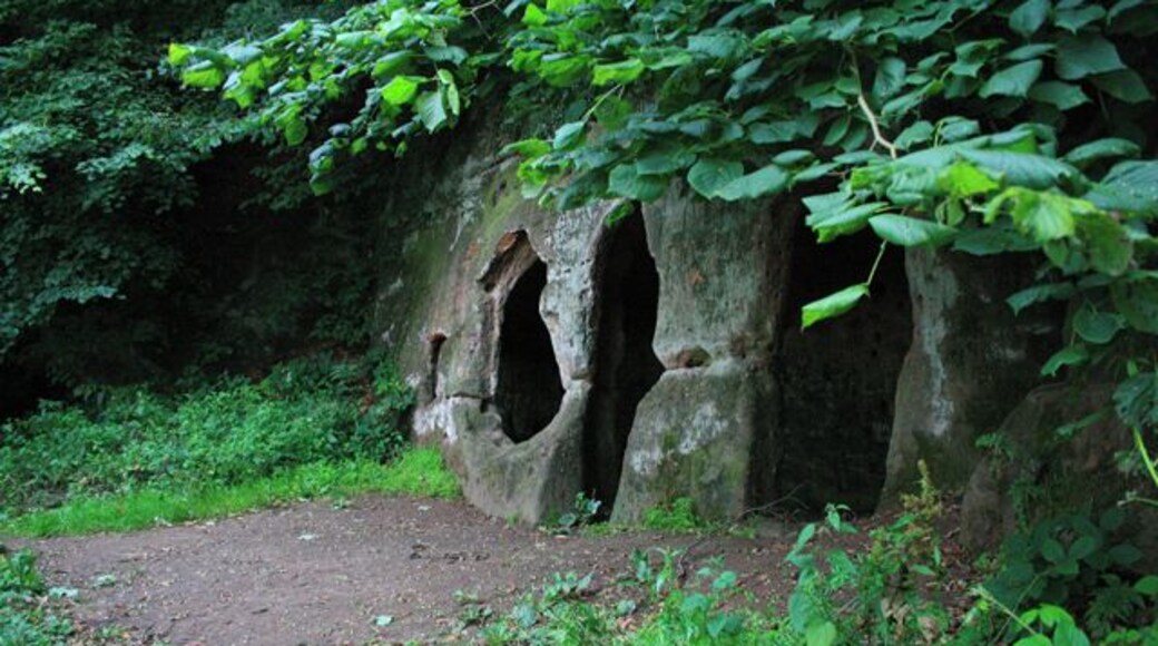 The Hermitage. In Hermit's Wood near Dale Abbey. Cut into the Sandstone of a North facing escarpment. For a fuller description see the nearby information board: 915118