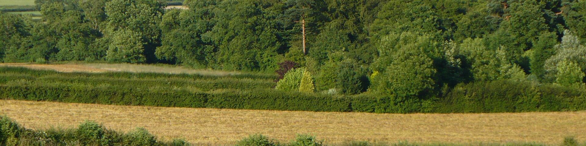 Autotest Field - Ockbrook Lovely setting for some motorsport! Autotests involve navigating a course of cones, forwards, backwards and with handbrake turns! www.motorsport-central.co.uk