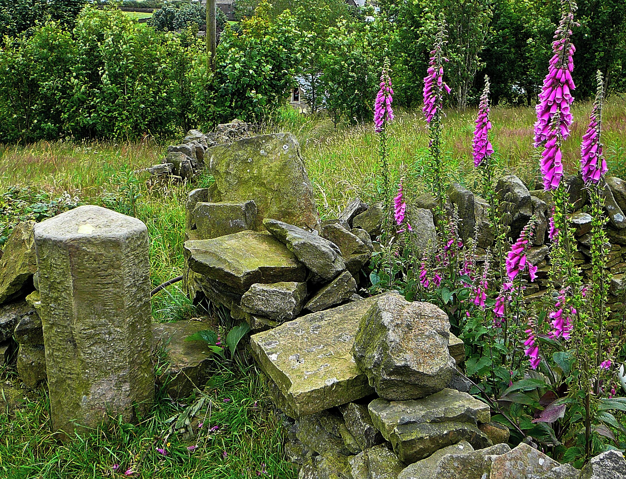 Footpath at Denholme Clough