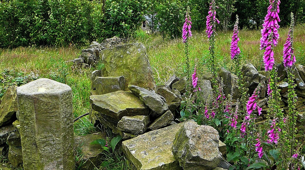 Footpath at Denholme Clough