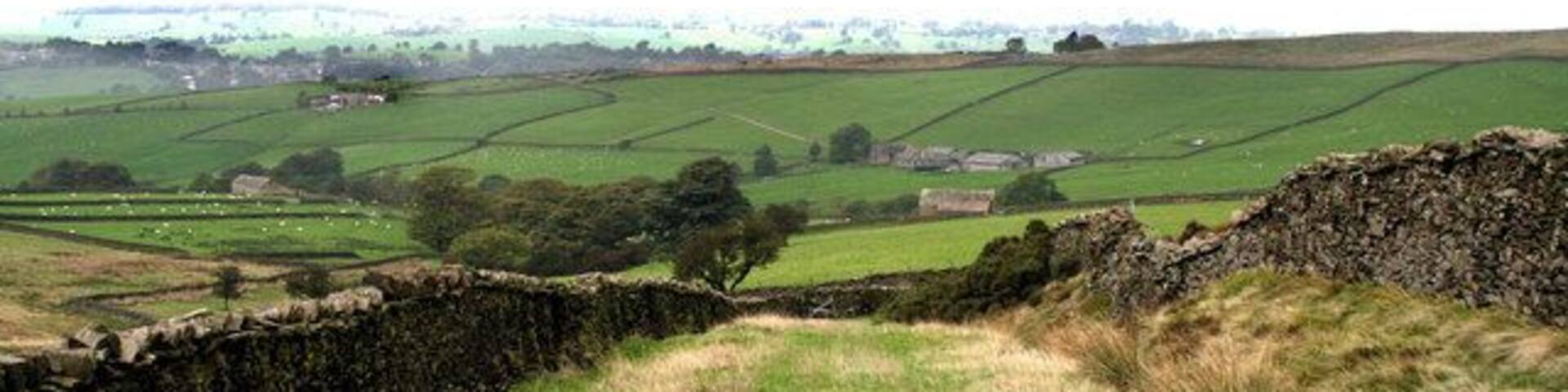 Green road near to Thornton Moor, Yorkshire This is Dodgson Lane. South of Dodgson Farm, it is a metalled lane joining the farm to the motor road, but north of the farm, as here, it is a 'green road', formerly used as a drove road for sheep and cattle. There has recently been some controversy about rights of way over such roads: it has been alleged that their use by motor cycles and quad bikes causes damage, and should not be allowed.