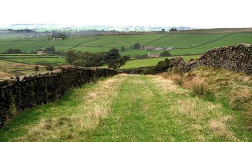 Green road near to Thornton Moor, Yorkshire This is Dodgson Lane. South of Dodgson Farm, it is a metalled lane joining the farm to the motor road, but north of the farm, as here, it is a 'green road', formerly used as a drove road for sheep and cattle. There has recently been some controversy about rights of way over such roads: it has been alleged that their use by motor cycles and quad bikes causes damage, and should not be allowed.