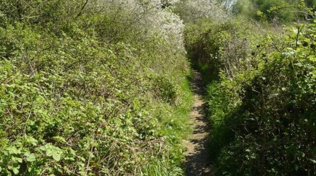 East Leake path