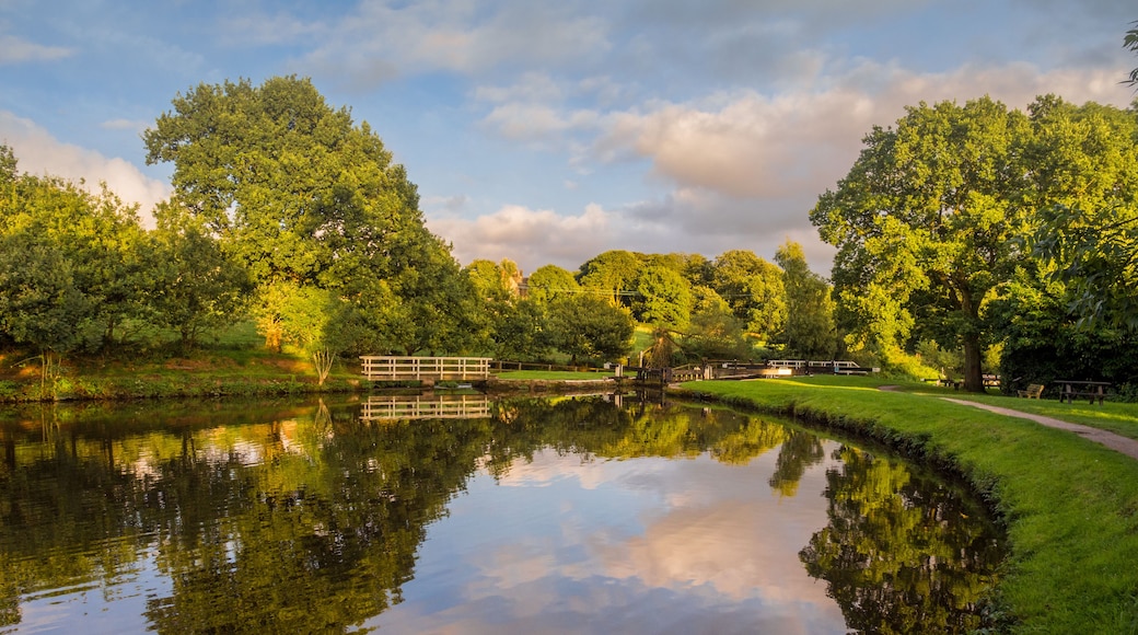 Leeds and Liverpool Canal in Evening Light, Chorley, Lancashire, UK