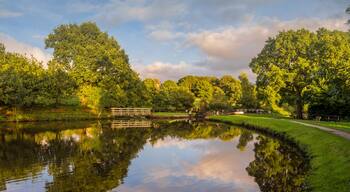 Leeds and Liverpool Canal in Evening Light, Chorley, Lancashire, UK
